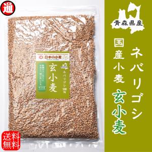 ネバ玄粒 国産 小麦 玄小麦 ネバリゴシ 20k...の商品画像