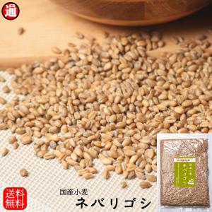 鳥の餌 800g 国産 小麦 送料無料 とりのえさ とりのおやつ 中力系 玄小麦 全粒小麦 国産玄小麦 小麦玄麦 全粒粉 製粉前 中力粉
