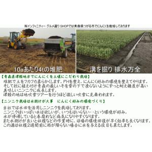 【新物】にんにく 500g 小・中粒 皮剥げ無...の詳細画像5