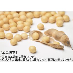 大豆 国産 おおすず 5kg 業務用 国産大豆...の詳細画像3
