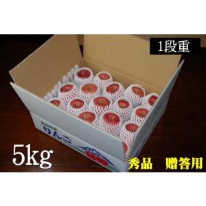 青森りんご 秀品 5kg 送料無料 七戸りんご...の詳細画像2