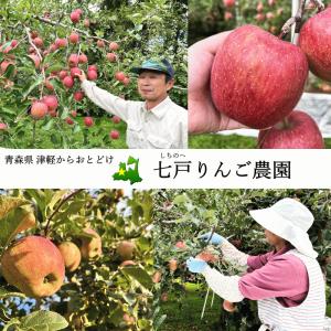 青森りんご 秀品 5kg 送料無料 七戸りんご...の詳細画像3