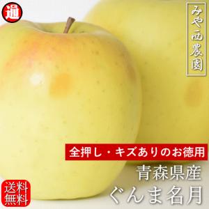 お得な 全てに押し・キズあり ぐんま名月 5kg 宮西農園 青森 りんご 訳あり 送料無料 家庭用 甘みと香りと歯触りのバランスが人気 群馬名月りんご｜gurumedoori