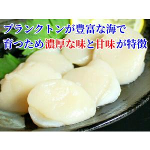 ホタテ 貝柱 1kg 北海道産 冷凍 刺身 生...の詳細画像2