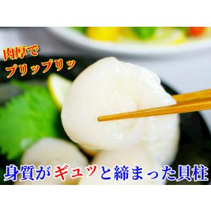 ホタテ 貝柱 1kg 北海道産 冷凍 刺身 生...の詳細画像3
