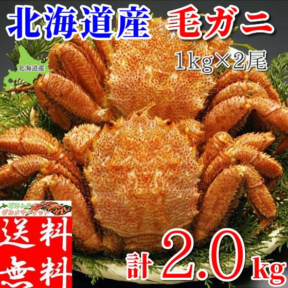 毛ガニ 特大サイズ 毛蟹 2kg (1kg×2尾) メガサイズ 北海道産 ギフト ボイル 冷凍 蟹味...