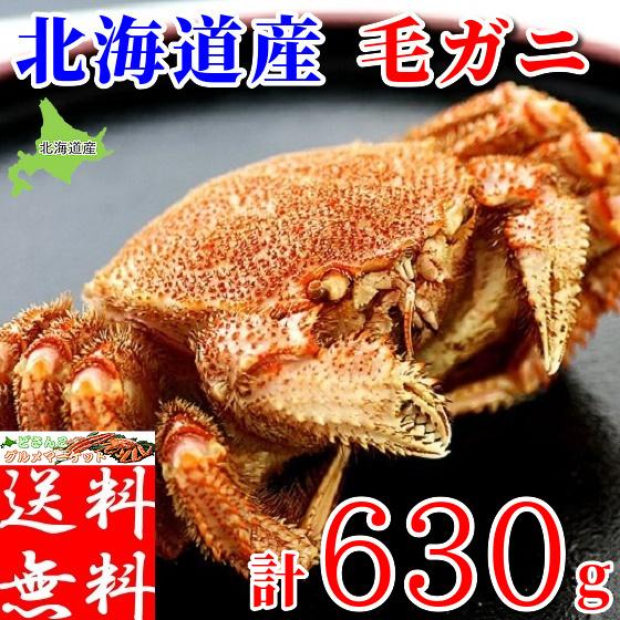 毛蟹 北海道 蟹味噌 1尾 ボイル 冷凍 取り寄せ グルメ 1杯 国産 ギフト 630g×一匹 毛ガ...