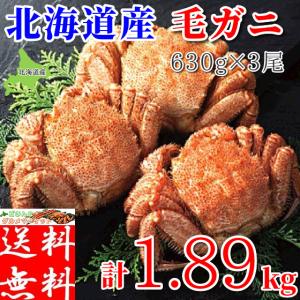 毛ガニ 毛蟹 ボイル 冷凍 北海道産 1.89kg (630g×3尾) 蟹 セット ギフト 蟹味噌 浜茹で お取り寄せ グルメ｜どさんこグルメマーケット