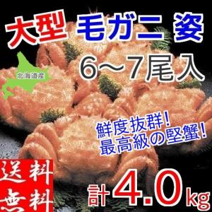 毛ガニ 毛蟹 4kg (6-7尾入) セット 北海道産 メガ盛り 食べ放題 ギフト ボイル 冷凍 蟹味噌 浜茹で お取り寄せ グルメ｜gurumeitiba