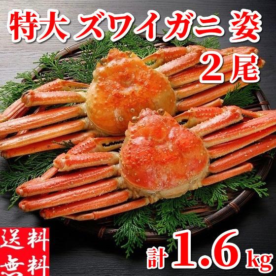 ズワイガニ 姿 特大 ボイル 冷凍 蟹味噌 1.6kg (800g×2尾) ずわい蟹 ギフト かに ...