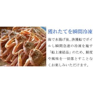 ズワイガニ 2kg 特大 ボイル蟹 足 冷凍 ...の詳細画像5