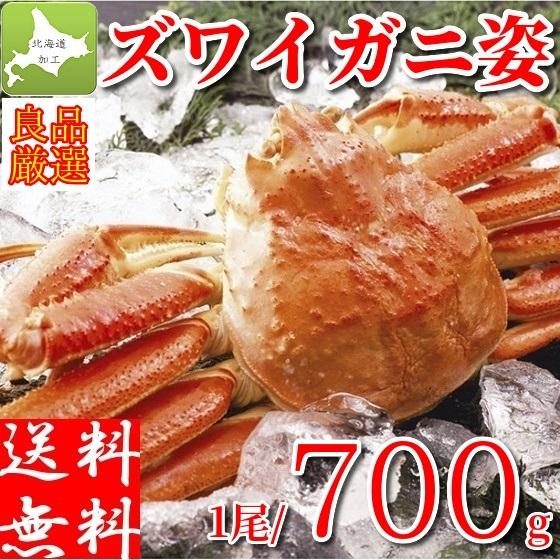 蟹 ギフト ズワイガニ 姿 ボイルカニ 冷凍 1尾 蟹味噌 本ずわいがに 700g 北海道加工
