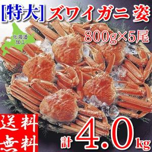 数量限定‼️【訳あり‼️4kg‼️ボイルズワイ蟹(5肩)】冷凍4kg前後 ボイルズワイガニ 姿 特大 4kg (800g×5尾) メガ盛り 業務用食材 冷凍