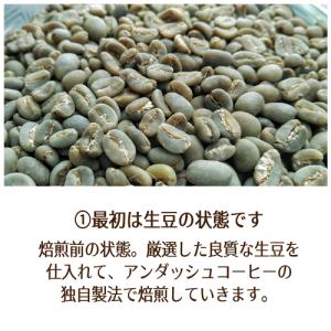 イタリーブレンド 100g 極深煎り 珈琲豆 ...の詳細画像2