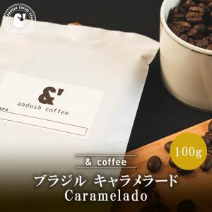 ブラジル キャラメラード 100g やや深煎り 珈琲豆 コーヒー豆 通販 ネット販売 珈琲 コーヒー ドリップ 自家焙煎｜京の珈琲豆処アンダッシュコーヒー