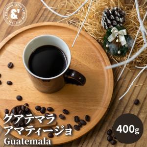 スペシャルティ グアテマラ アマティージョ 200g シティーロースト