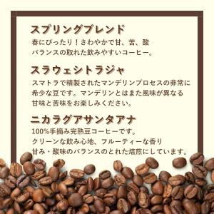 コーヒー豆 福袋 送料無料 珈琲豆 4月 月替...の詳細画像1