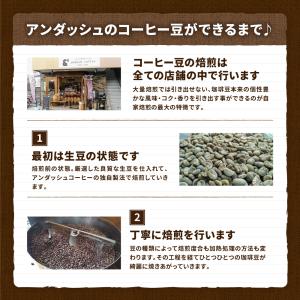 コーヒー豆 福袋 送料無料 珈琲豆 4月 月替...の詳細画像3