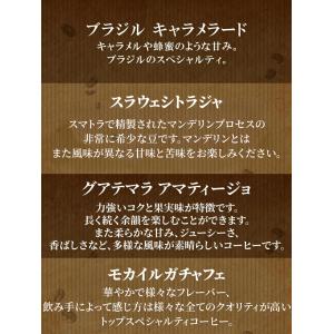 コーヒー豆 珈琲豆 お試し お試しセット お一...の詳細画像1