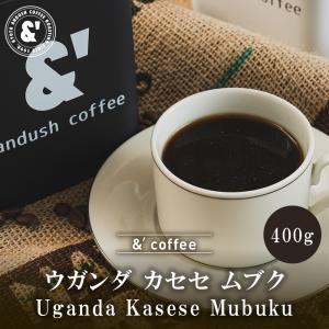 ウガンダ カセセ ムブク 400g 深煎り 珈琲豆 スペシャルティコーヒー コーヒー豆 コーヒーロー...