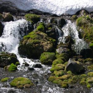 コーヒーゼリー 北海道 羊蹄山 名水珈琲ゼリー...の詳細画像2