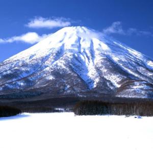 コーヒーゼリー 北海道 羊蹄山 名水珈琲ゼリー...の詳細画像3