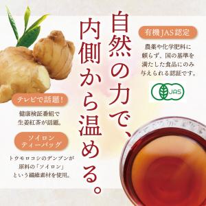 鹿児島 有機JAS認定 生姜紅茶 40包入り ...の詳細画像1