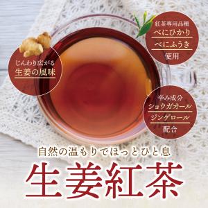 鹿児島 有機JAS認定 生姜紅茶 40包入り ...の詳細画像2