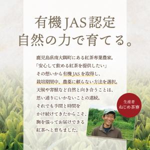 鹿児島 有機JAS認定 生姜紅茶 40包入り ...の詳細画像3