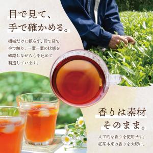 鹿児島 有機JAS認定 生姜紅茶 40包入り ...の詳細画像4