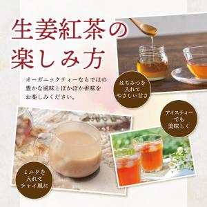鹿児島 有機JAS認定 生姜紅茶 40包入り ...の詳細画像5