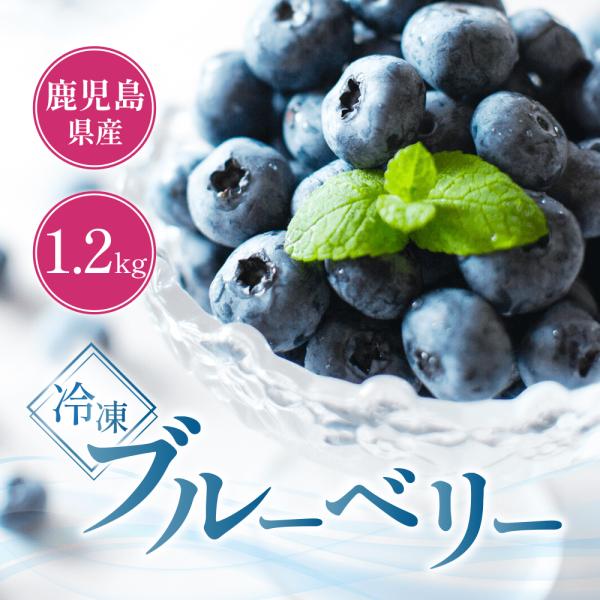 父の日 冷凍ブルーベリー 1.2kg 栽培期間中 農薬・化学肥料不使用 鹿児島県産 フルーツ 果物 ...