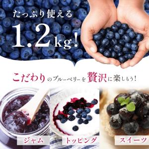 鹿児島県産 冷凍ブルーベリー 1.2kg 農薬...の詳細画像2