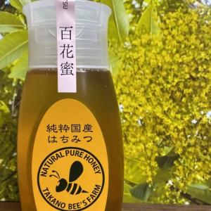 ハチミツ アカシアの有機はちみつ 400g 蜂蜜 ミエツィリア イタリア 瓶