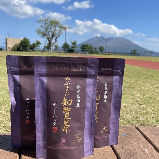 鹿児島茶 知覧茶 やぶきた ティーバッグ 3袋セット 鹿児島製茶  緑茶 日本茶