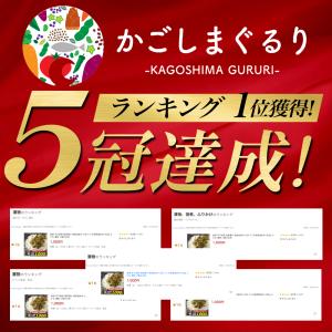 高菜 ピリ辛高菜油炒め 500g 至高グルメ ...の詳細画像2
