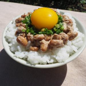 国産オーガニック納豆 10袋の詳細画像1