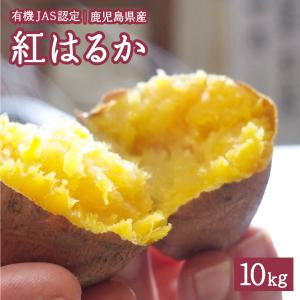 父の日 有機JAS 鹿児島県産 紅はるか 10kg 有機 有機栽培 お芋 焼き芋 焼芋 さつまいも セット ご当地 グルメ  ギフト 大容量 特産品 産地直送 野菜｜gururi-japan