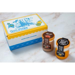 だいたんな詰め合わせセット（だいたんなゼリー・だいたんなショコラ各3個入り）洋菓子 ギフト 特産品 鹿児島県産 お土産