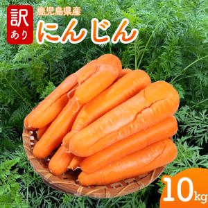 にんじん 約10kg L〜2Lサイズ｜中国産 人参｜業務用 野菜 鮮度