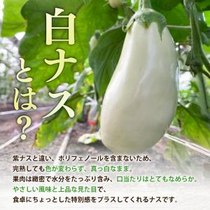鹿児島 白なす 6本入り とろーり 旨ナス 白...の詳細画像2