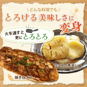 鹿児島 白なす 6本入り とろーり 旨ナス 白...の詳細画像3