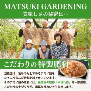 鹿児島 白なす 6本入り とろーり 旨ナス 白...の詳細画像4