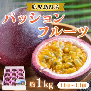 送料無料 【華やかな香り広がる】指宿産 パッションフルーツ(11~13玉入り 約1kg)【マンゴーの森】 フルーツ 果物 プレゼント ギフト