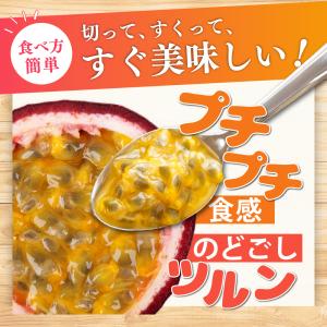 送料無料 【華やかな香り広がる】指宿産 パッシ...の詳細画像2