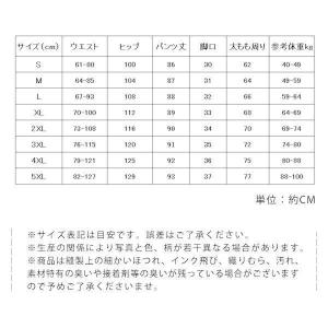 ワイドパンツ 綿麻 ガチョウパンツ レディース...の詳細画像2