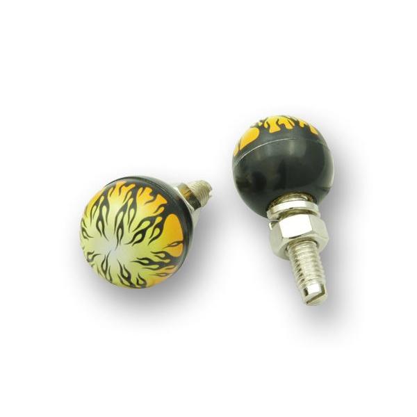 AA113FLMS フレームス　ライセンスボルトセット