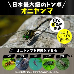 オニヤンマ 3個セット 虫除け 虫よけ おにや...の詳細画像3