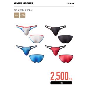 GX3/ジーバイスリー GLOSS SPORT...の詳細画像2
