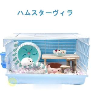 ハムスター用品 ハムスターケージ 小動物用ケージ ケージ 広いハウスかご 飼育 大きい 透明 2階建てハムスターケージ全部揃った飼育セット